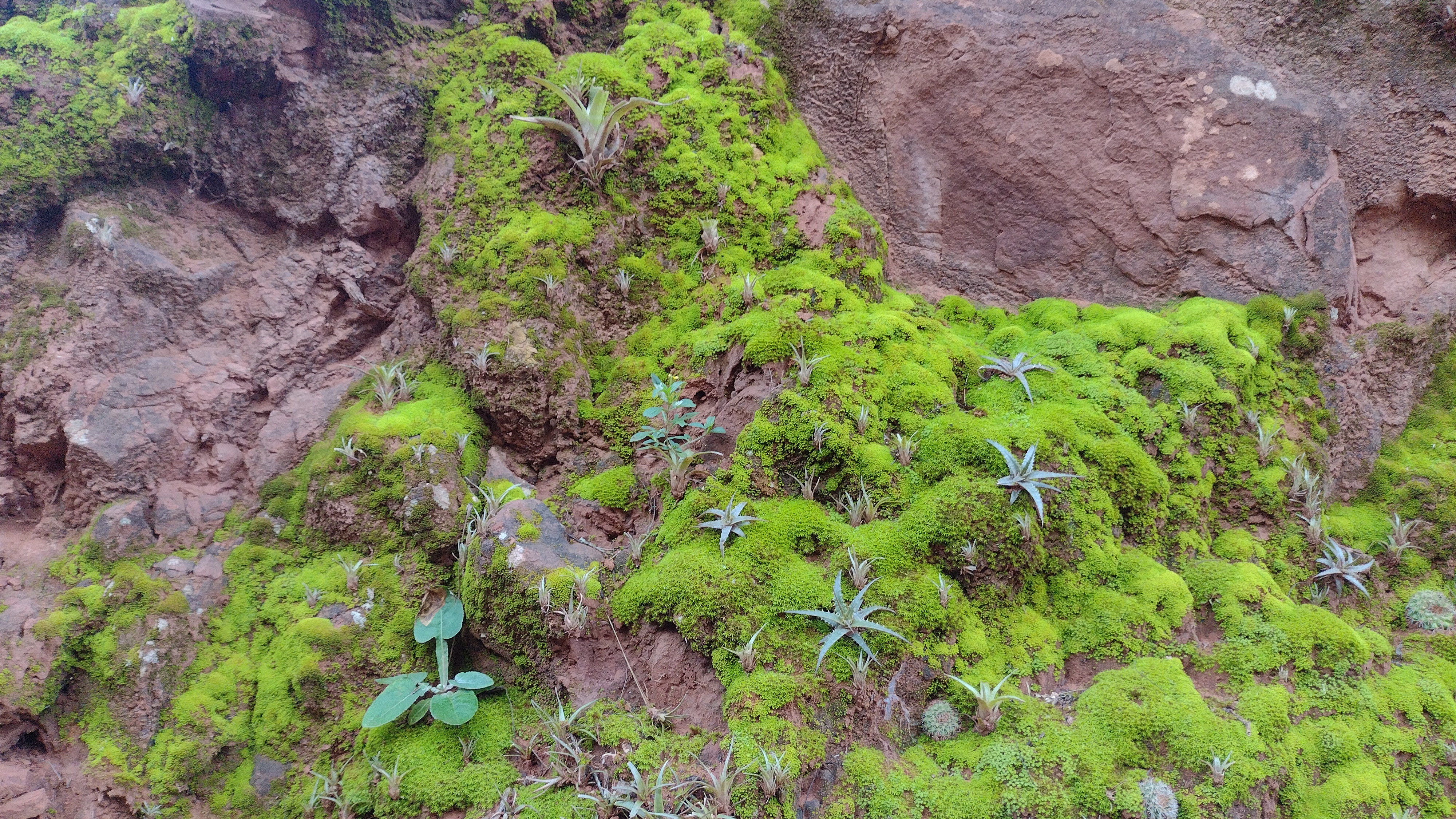 About Maskay Gallery